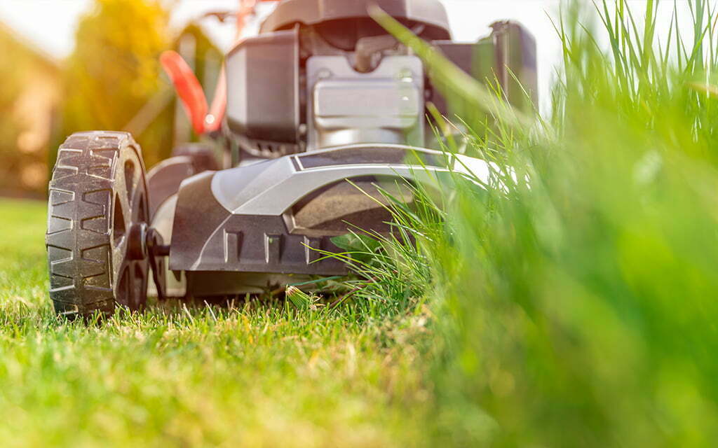 Lawn Mowing Maintenance The Foothills Garden Services